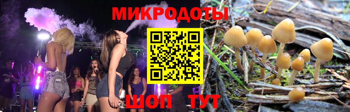 Котовск  Галлюциногенные грибы ЛСД  Вход с VPN 