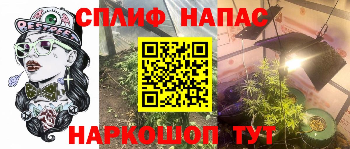 Марихуана Bruce Banner Котовск